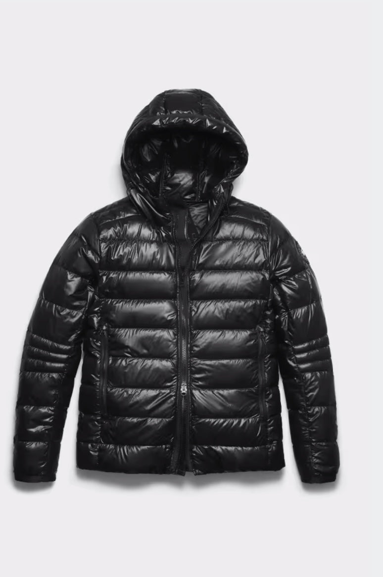 Canada goose -Crofton